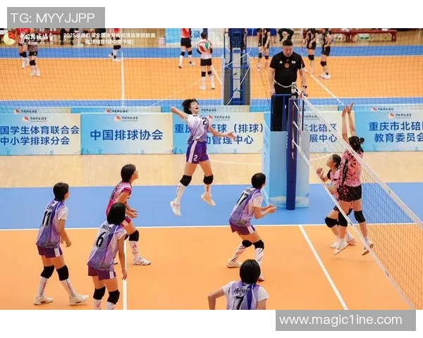 深圳排球队战术实力强劲荣登全国排球战术排行榜第九位